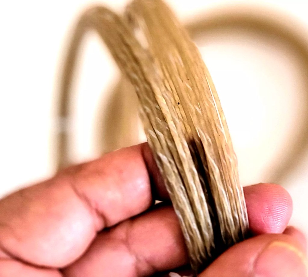 השוואה בין סוגי הגידים